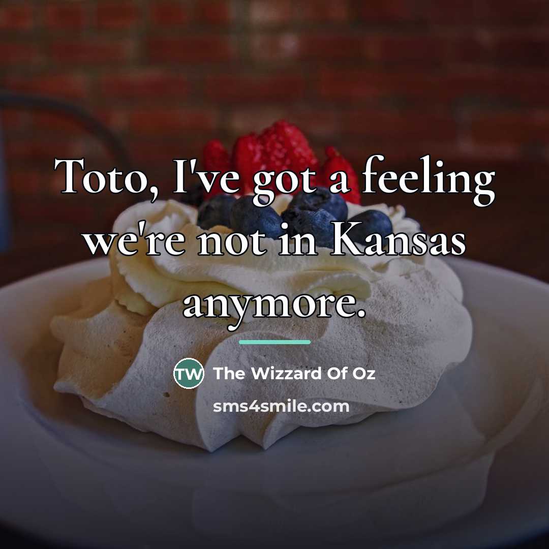 “Toto, I've got a feeling we're not in Kansas anymore.…” quote by The Wizzard Of Oz