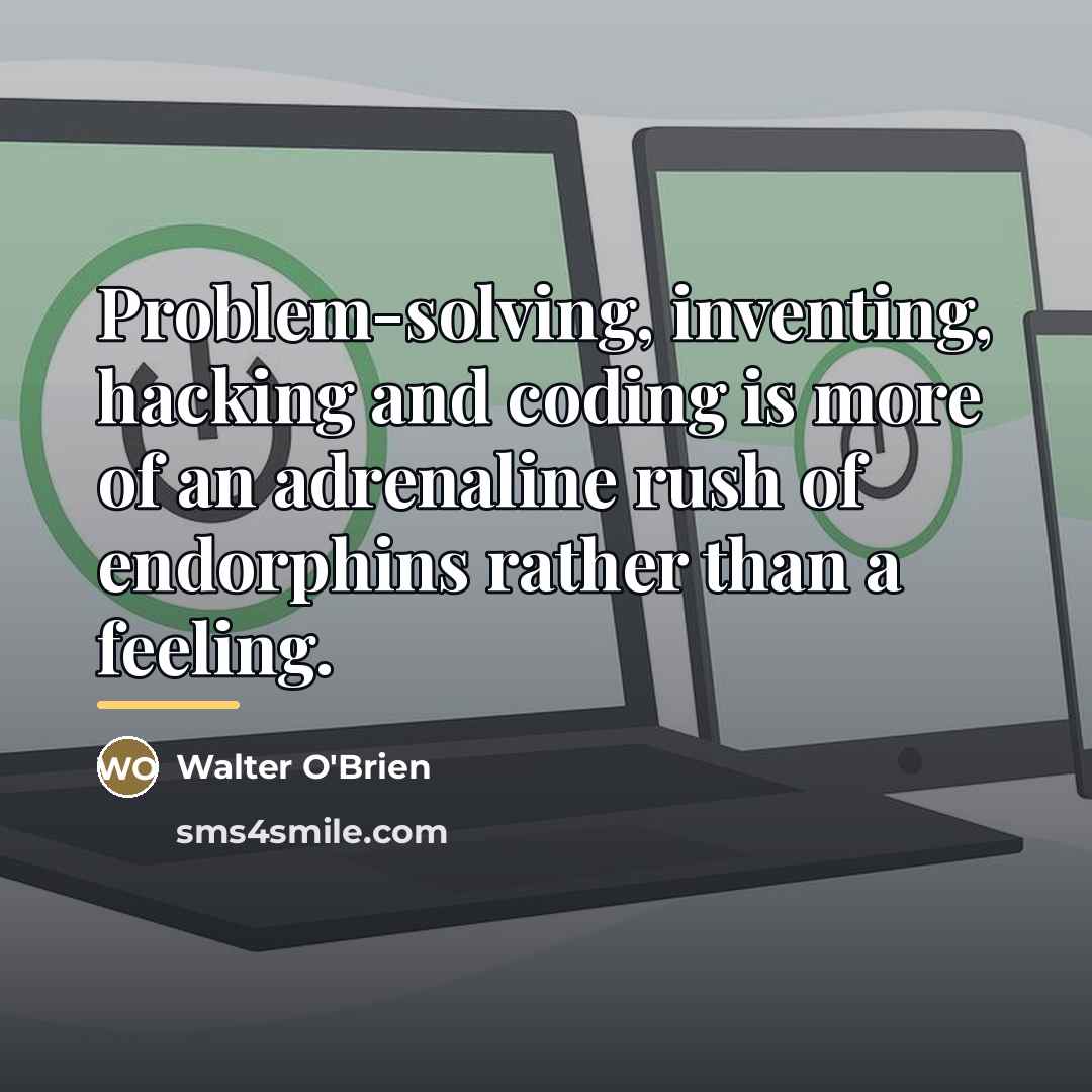 “Problem-solving, inventing, hacking and coding is more of an adrenaline…” quote by Walter O'Brien
