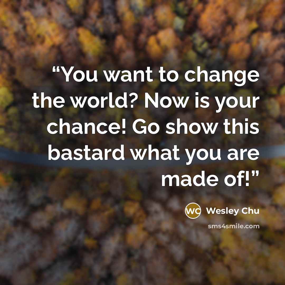 “You want to change the world? Now is your chance! Go show this bastard what you are made of!” quote by Wesley Chu