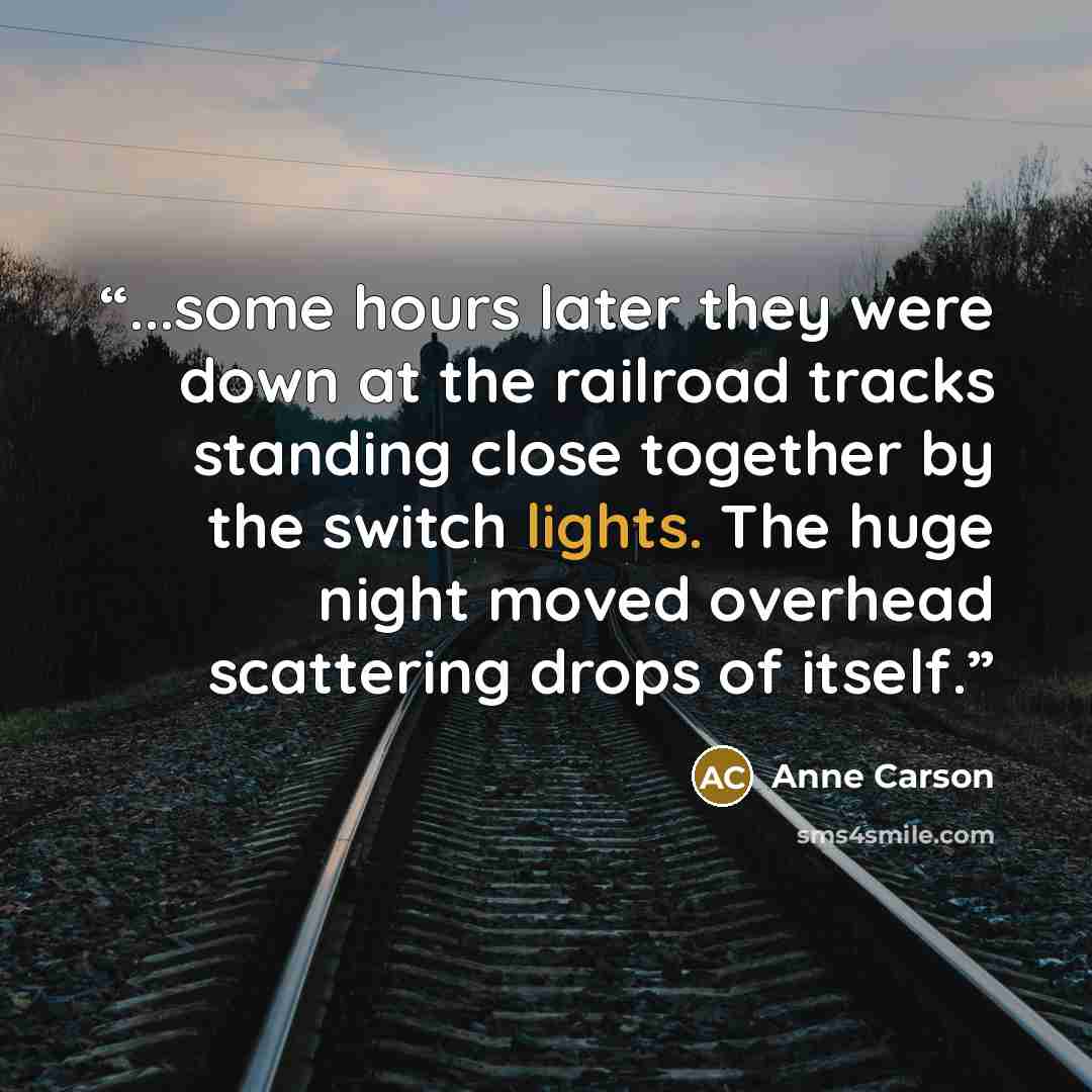 “...some hours later they were down at the railroad tracks standing close together by the switch lights. The huge night moved overhead scattering drops of itself.” quote by Anne Carson