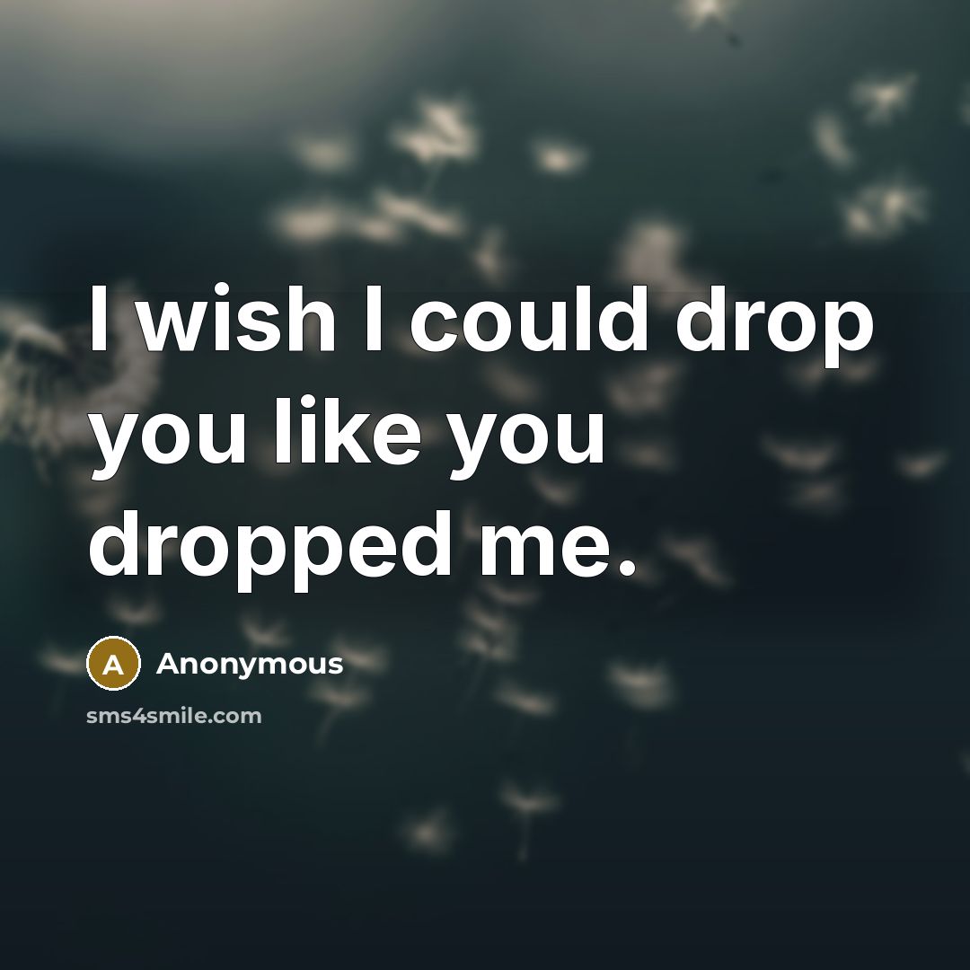 “I wish I could drop you like you dropped me.…” quote by Anonymous