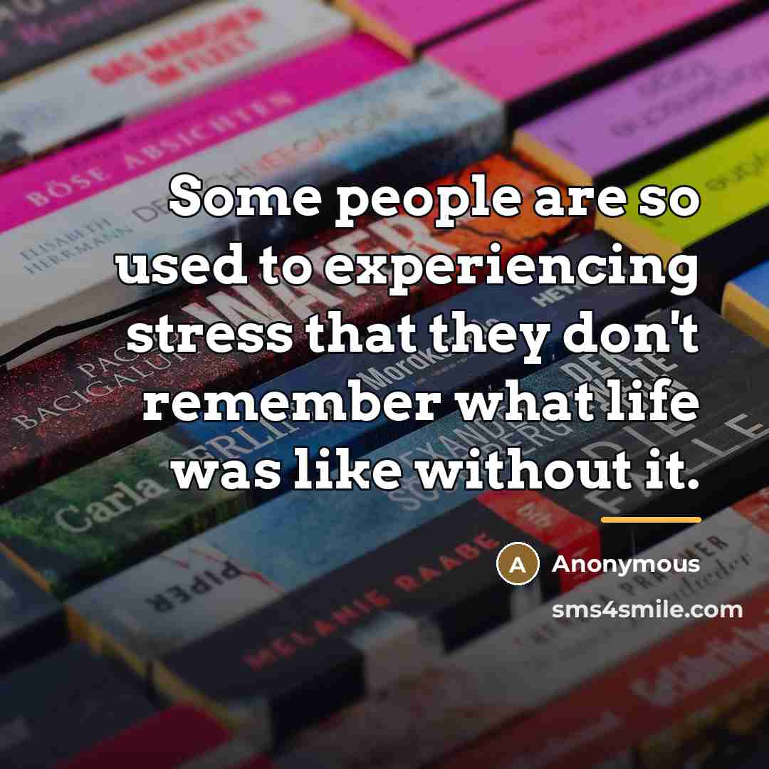 “Some people are so used to experiencing stress that they…” quote by Anonymous