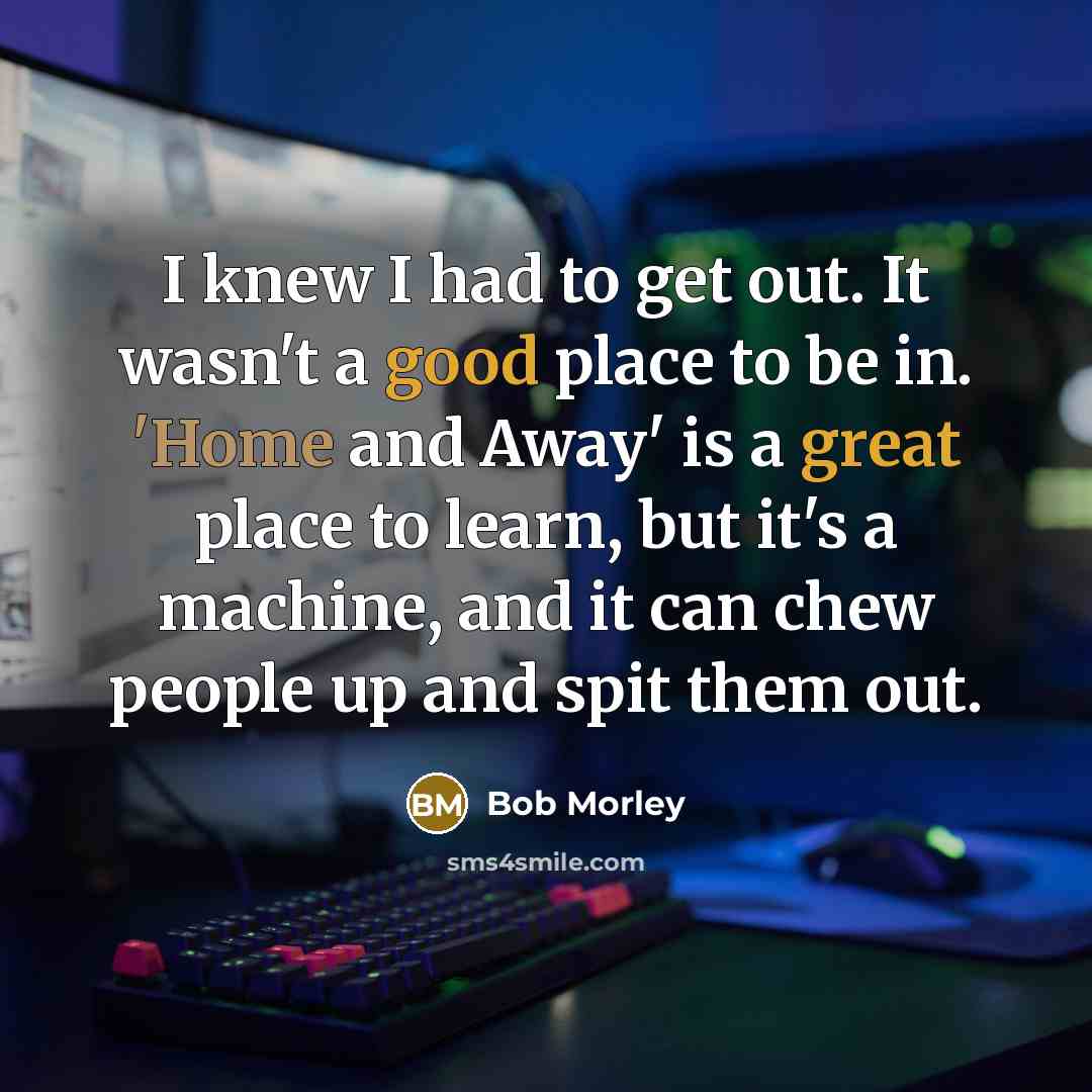 “I knew I had to get out. It wasn't a good place to be in. 'Home and Away' is a great place to learn, but it's a machine, and it can chew people up and spit them out.” quote by Bob Morley