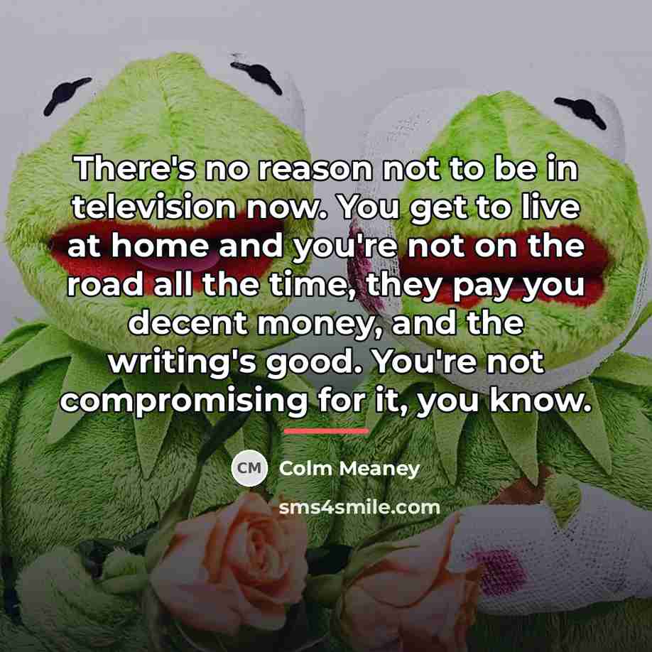 “There's no reason not to be in television now. You…” quote by Colm Meaney