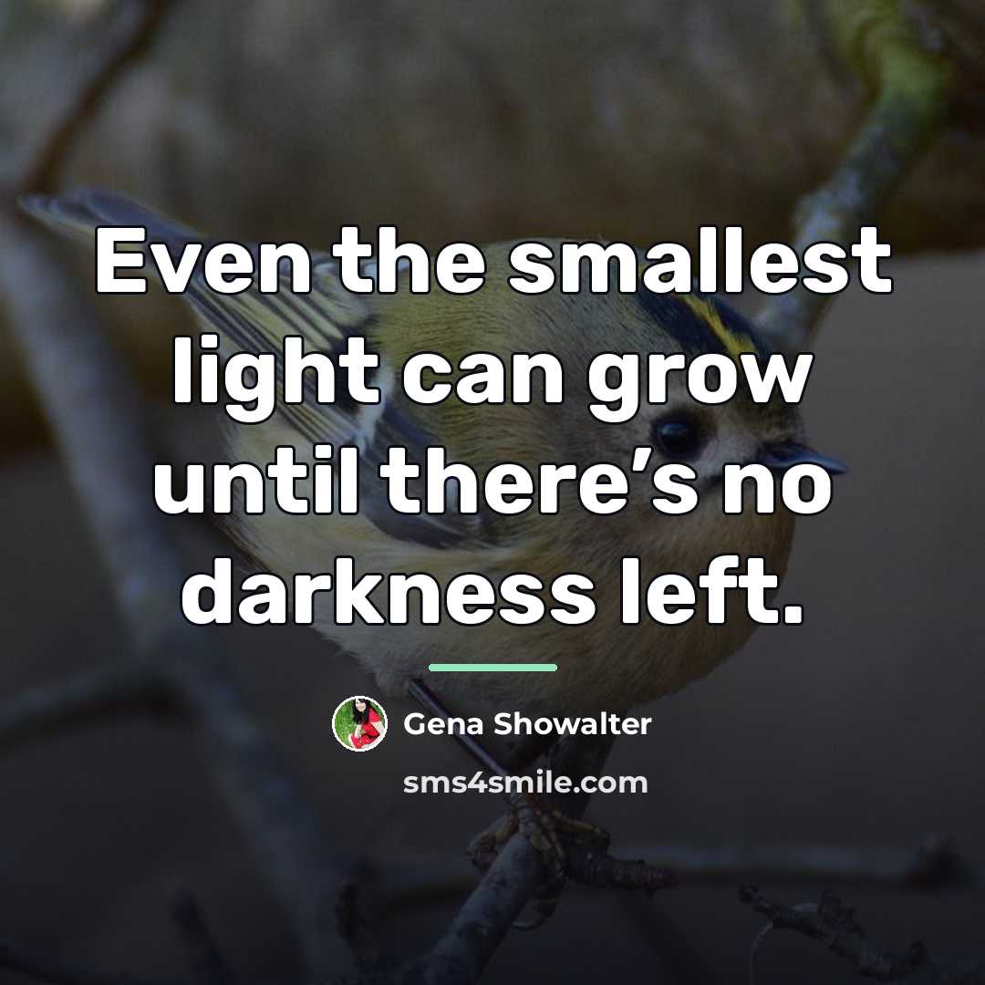 “Even the smallest light can grow until there’s no darkness…” quote by Gena Showalter