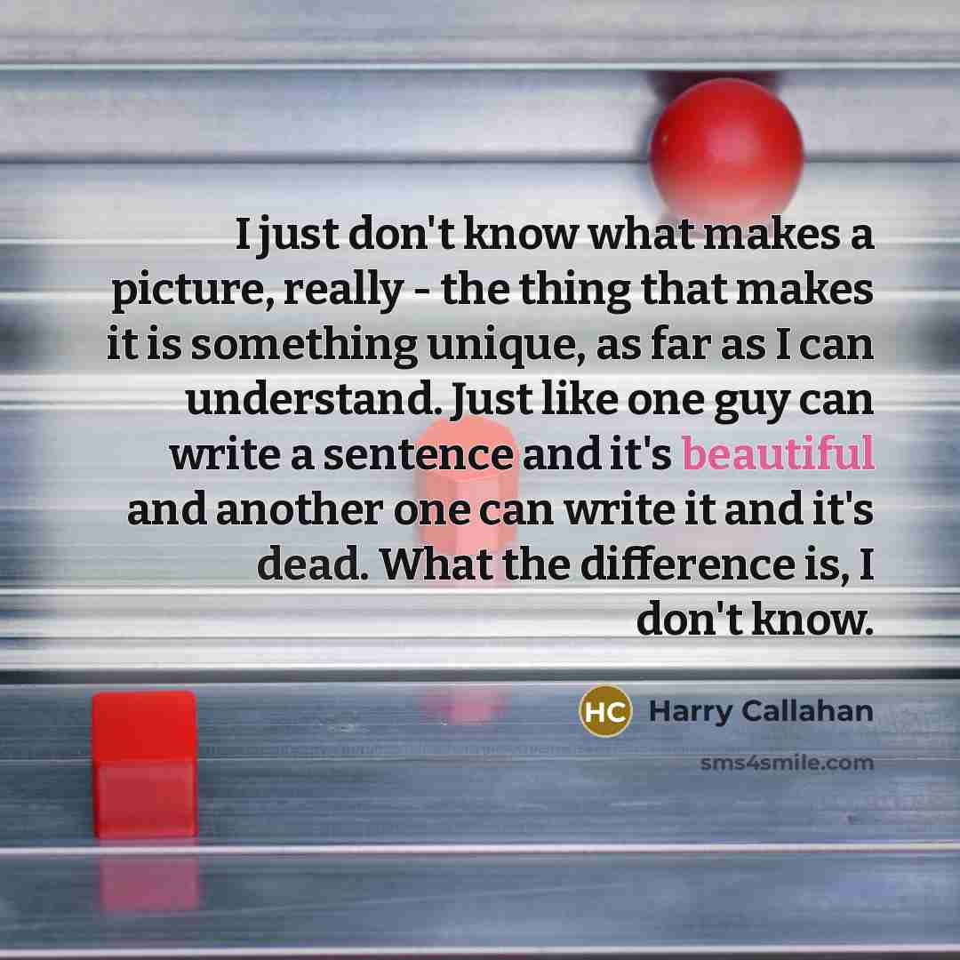 “I just don't know what makes a picture, really -…” quote by Harry Callahan