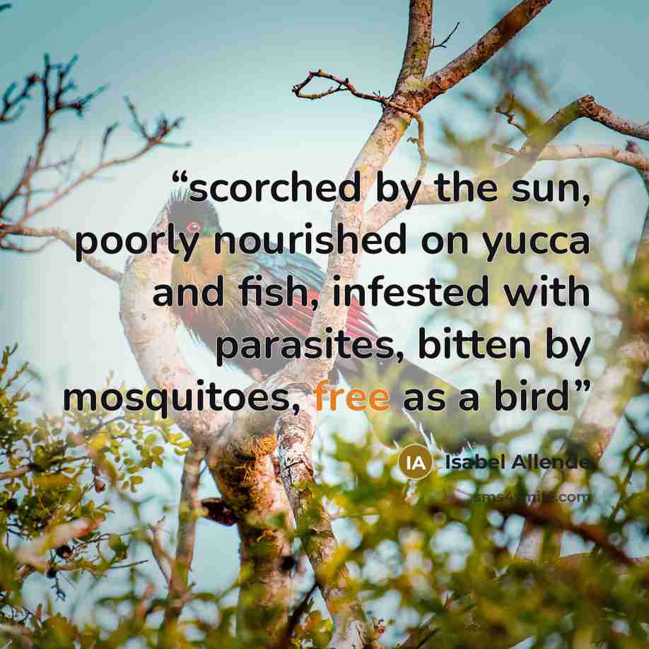“scorched by the sun, poorly nourished on yucca and fish, infested with parasites, bitten by mosquitoes, free as a bird” quote by Isabel Allende