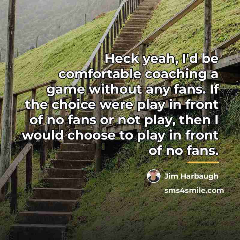 “Heck yeah, I'd be comfortable coaching a game without any…” quote by Jim Harbaugh