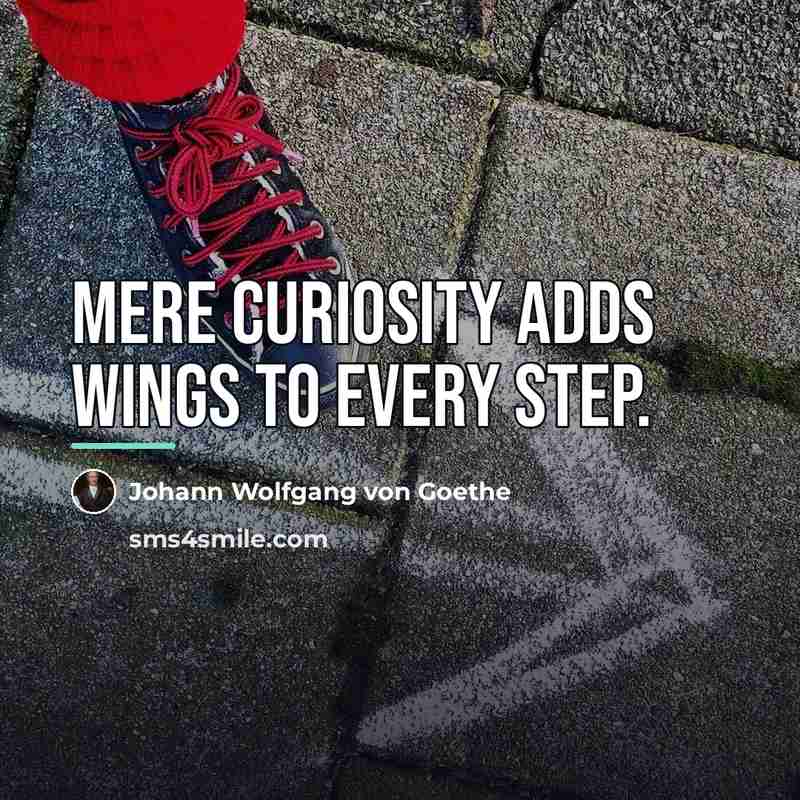 “Mere curiosity adds wings to every step.…” quote by Johann Wolfgang von Goethe