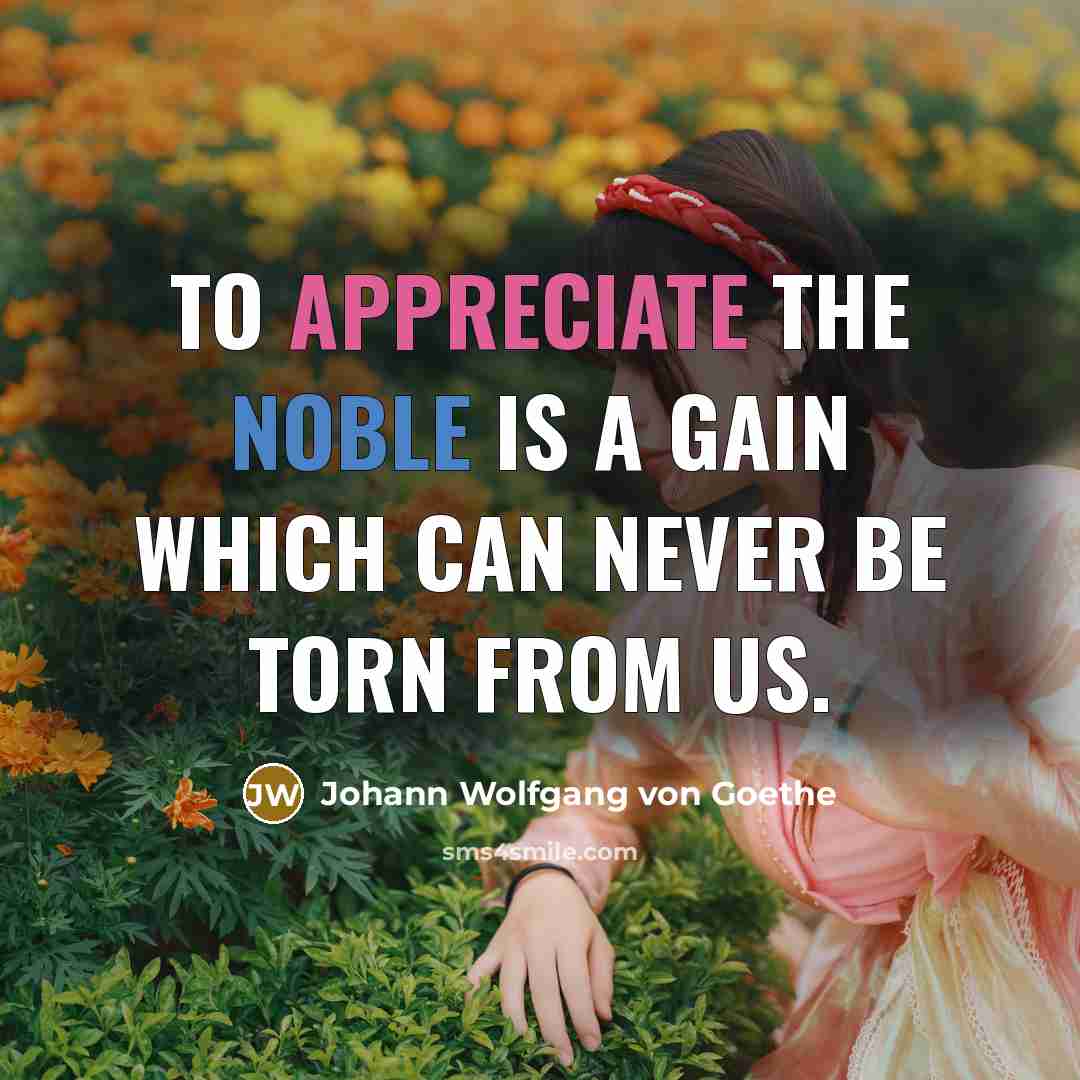 “To appreciate the noble is a gain which can never…” quote by Johann Wolfgang von Goethe