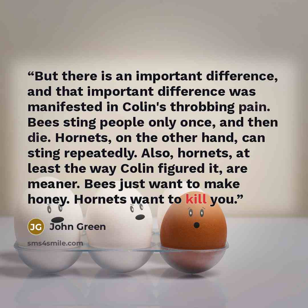 “But there is an important difference, and that important difference was manifested in Colin's throbbing pain. Bees sting people only once, and then die. Hornets, on the other hand, can sting repeatedly. Also, hornets, at least the way Colin figured it, are meaner. Bees just want to make honey…” quote by John Green