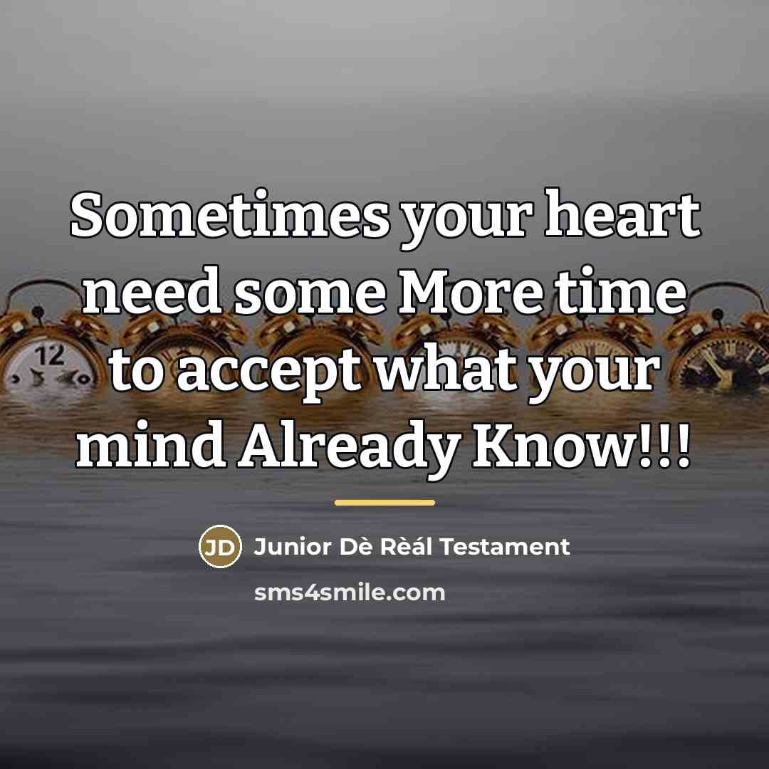 “Sometimes your heart need some More time to accept what…” quote by Junior Dè Rèál Testament