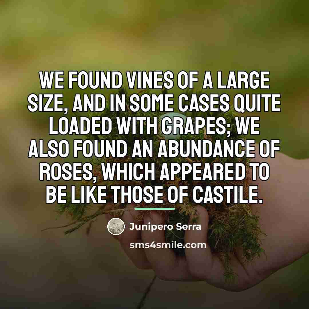“We found vines of a large size, and in some…” quote by Junipero Serra