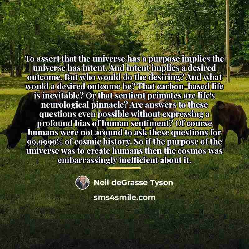 “To assert that the universe has a purpose implies the…” quote by Neil deGrasse Tyson
