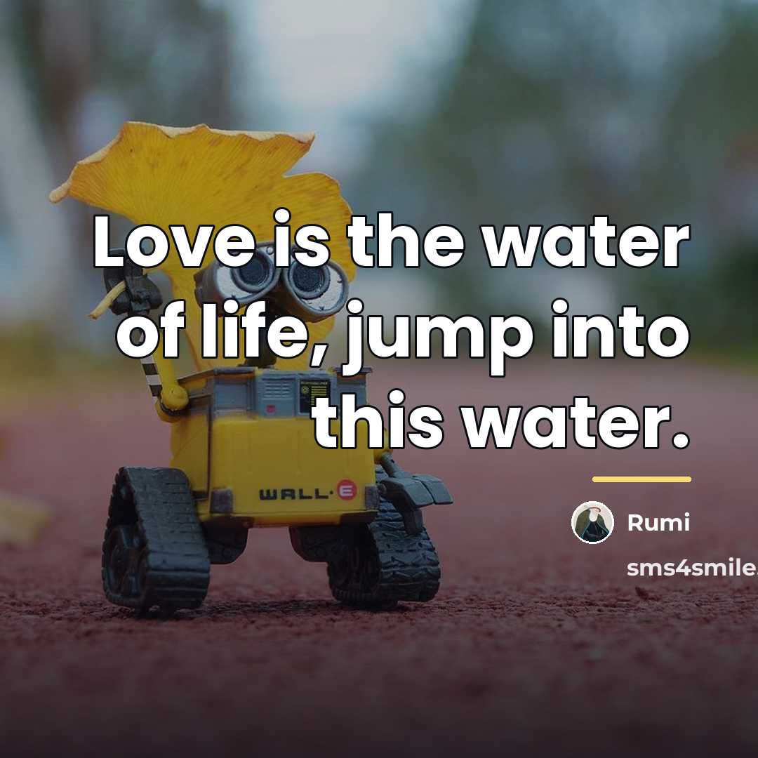 “Love is the water of life, jump into this water.…” quote by Rumi