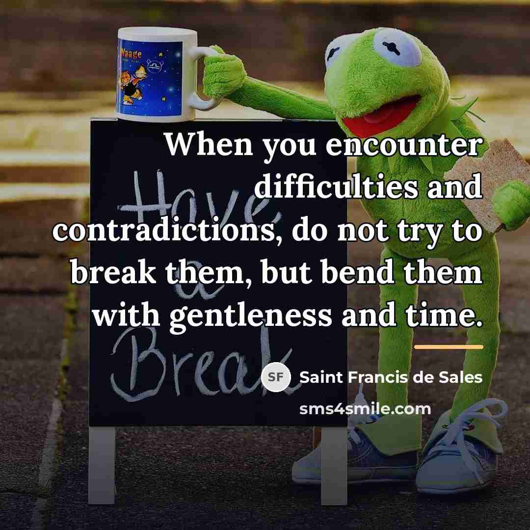 “When you encounter difficulties and contradictions, do not try to…” quote by Saint Francis de Sales