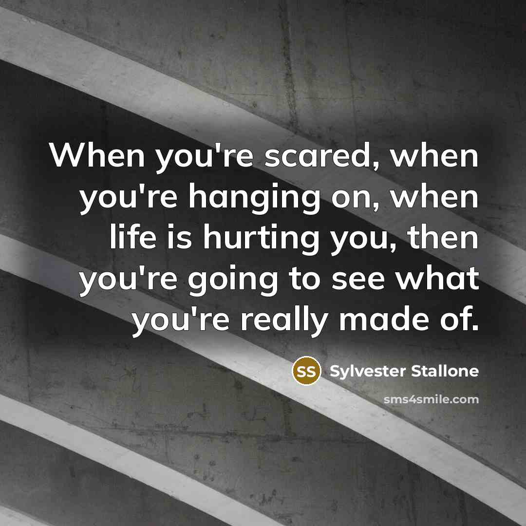“When you're scared, when you're hanging on, when life is…” quote by Sylvester Stallone