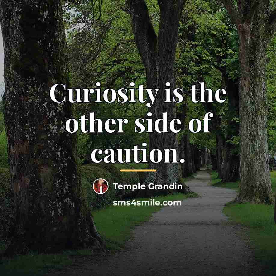 “Curiosity is the other side of caution.…” quote by Temple Grandin