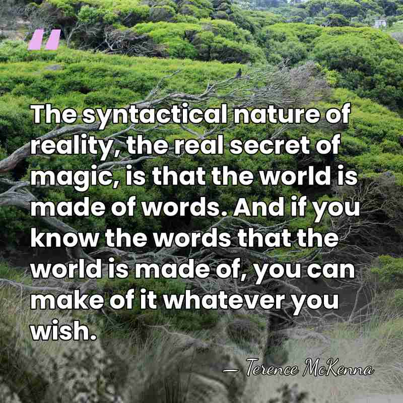 The syntactical nature of reality, the real secret of magic, is that&hellip; - Terence McKenna