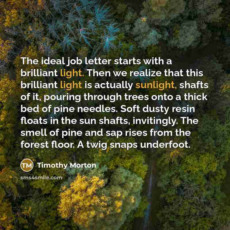 “The ideal job letter starts with a brilliant light. Then…” quote by Timothy Morton