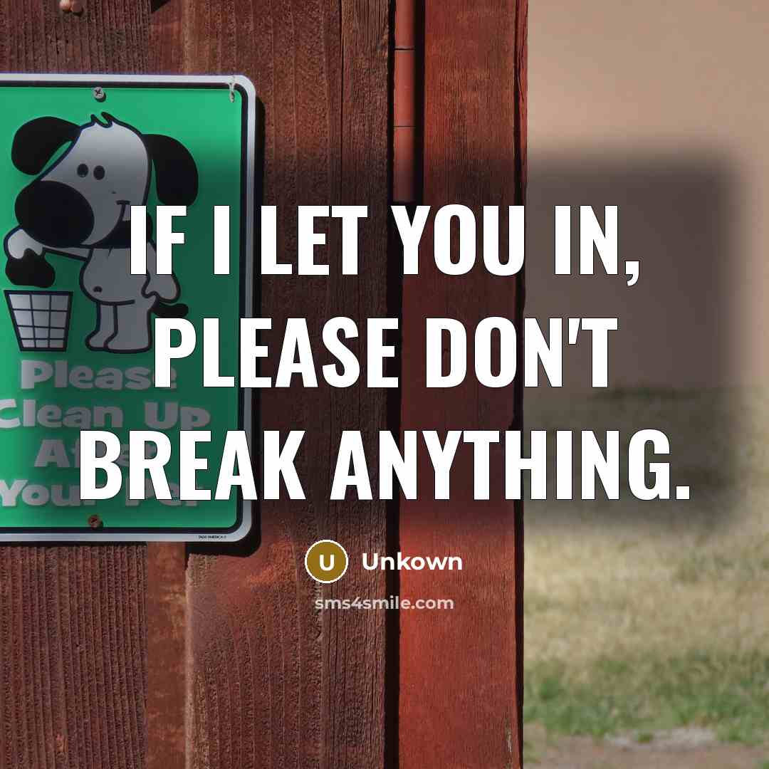 “IF I LET YOU IN, PLEASE DON'T BREAK ANYTHING.…” quote by Unkown