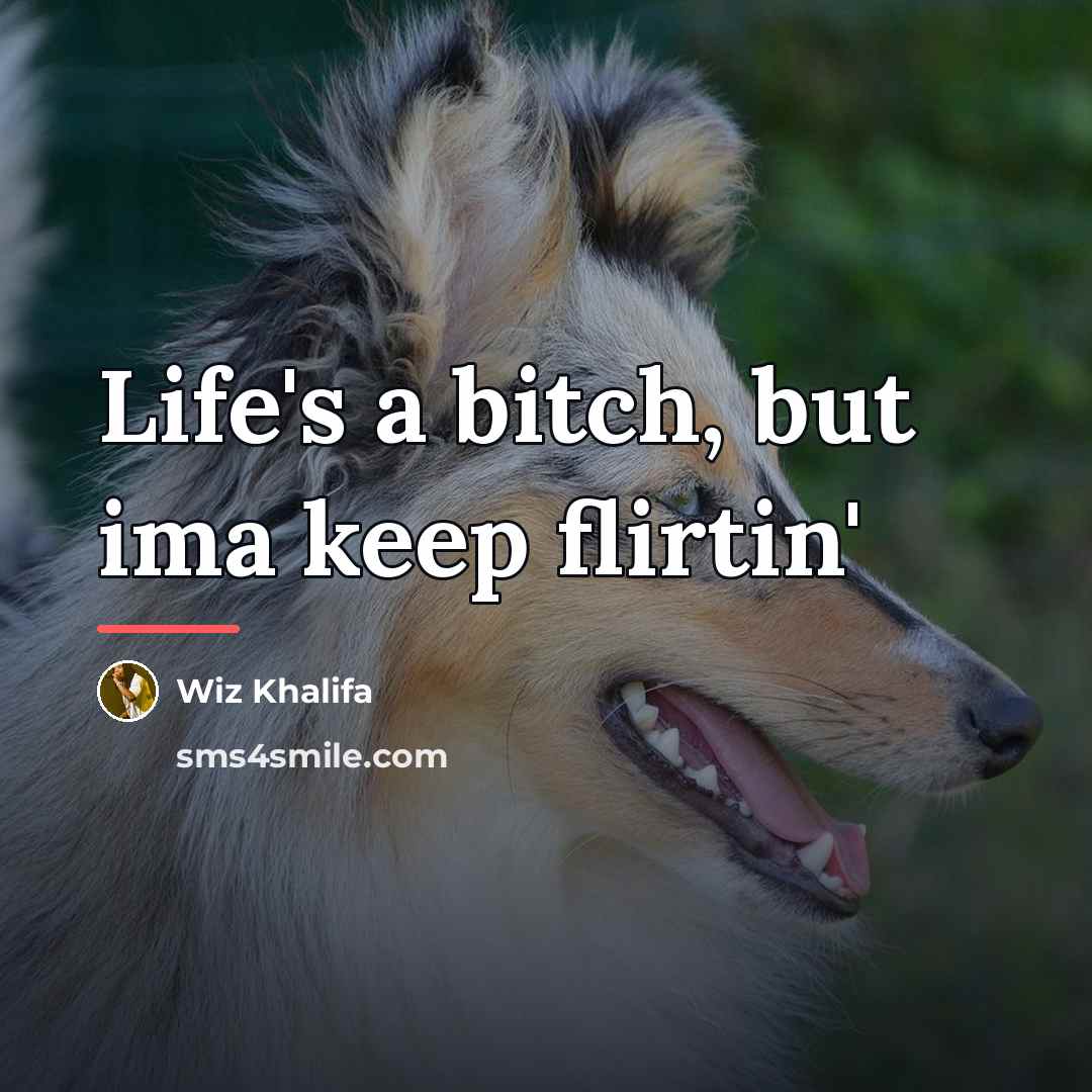 “Life's a bitch, but ima keep flirtin'…” quote by Wiz Khalifa