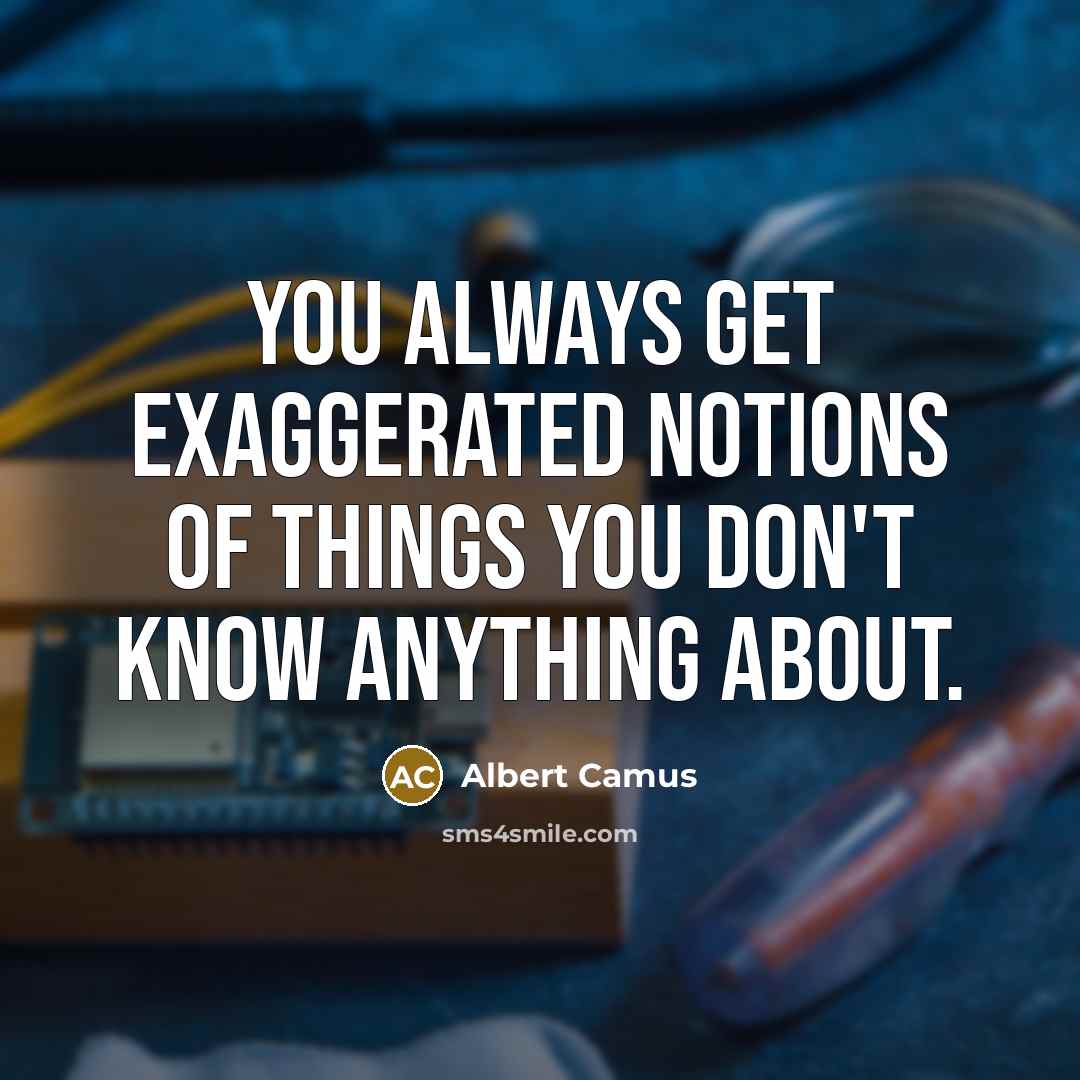 “You always get exaggerated notions of things you don't know…” quote by Albert Camus