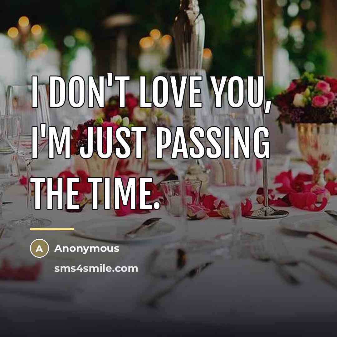 “I don't love you, I'm just passing the time.…” quote by Anonymous
