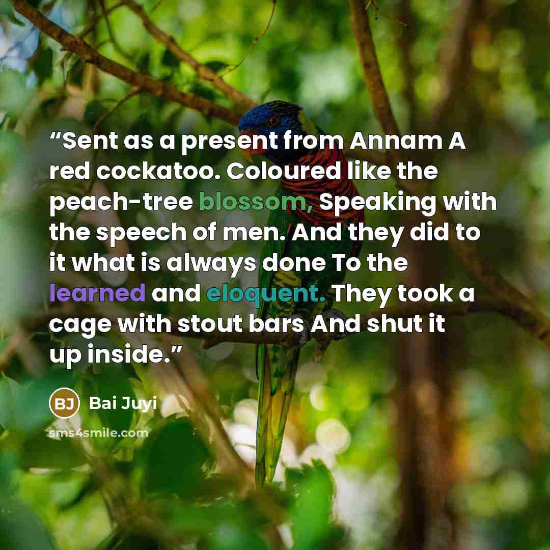 “Sent as a present from Annam A red cockatoo. Coloured like the peach-tree blossom, Speaking with the speech of men. And they did to it what is always done To the learned and eloquent. They took a cage with stout bars And shut it up inside.” quote by Bai Juyi