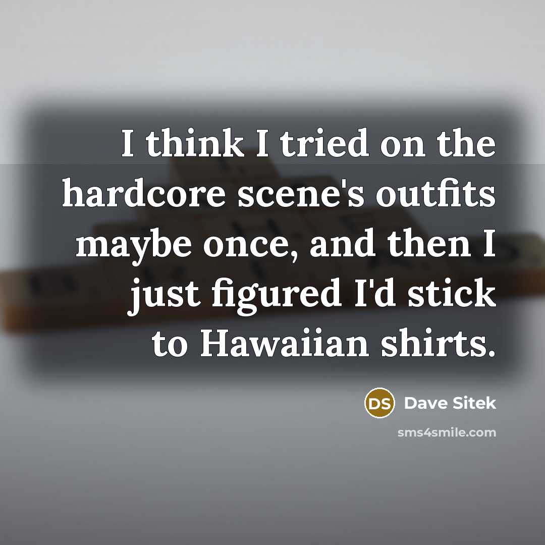 “I think I tried on the hardcore scene's outfits maybe…” quote by Dave Sitek
