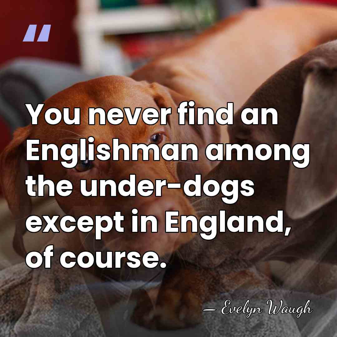 You never find an Englishman among the under-dogs except in England, of&hellip; - Evelyn Waugh