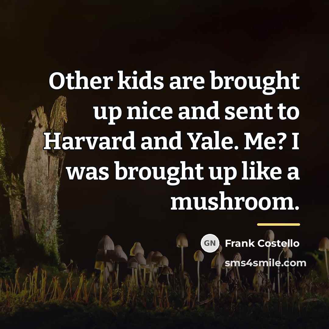 “Other kids are brought up nice and sent to Harvard…” quote by Frank Costello