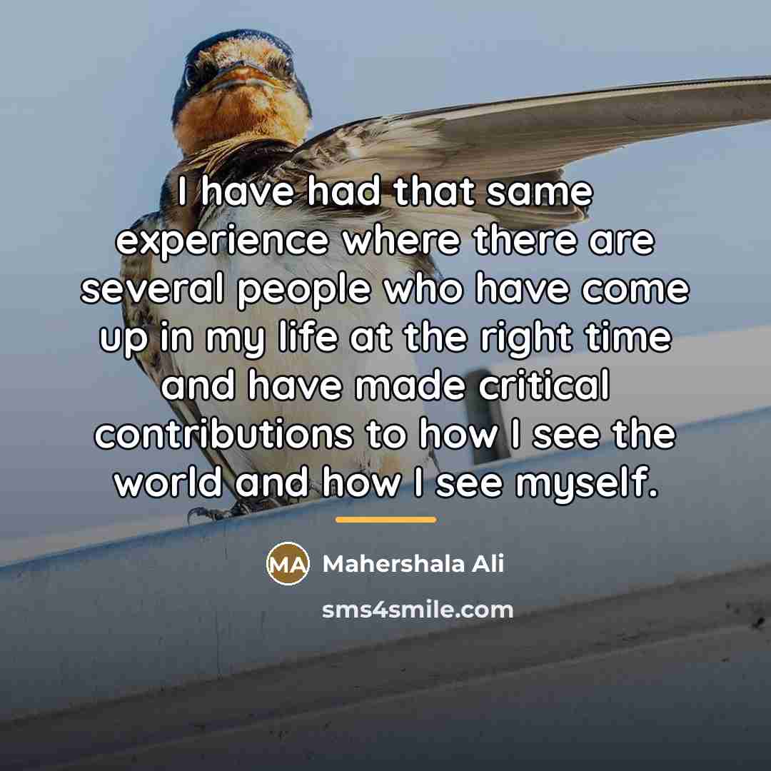 “I have had that same experience where there are several…” quote by Mahershala Ali