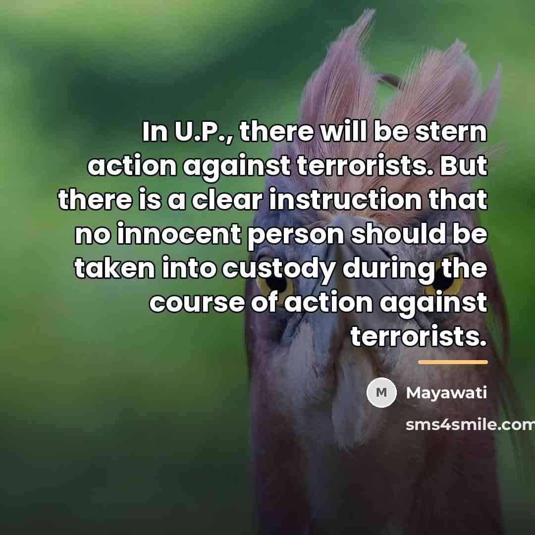 “In U.P., there will be stern action against terrorists. But…” quote by Mayawati