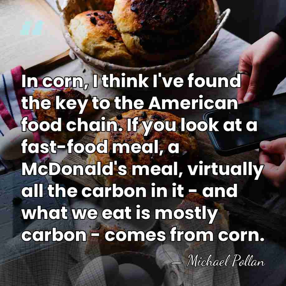 In corn, I think I've found the key to the American food&hellip; - Michael Pollan