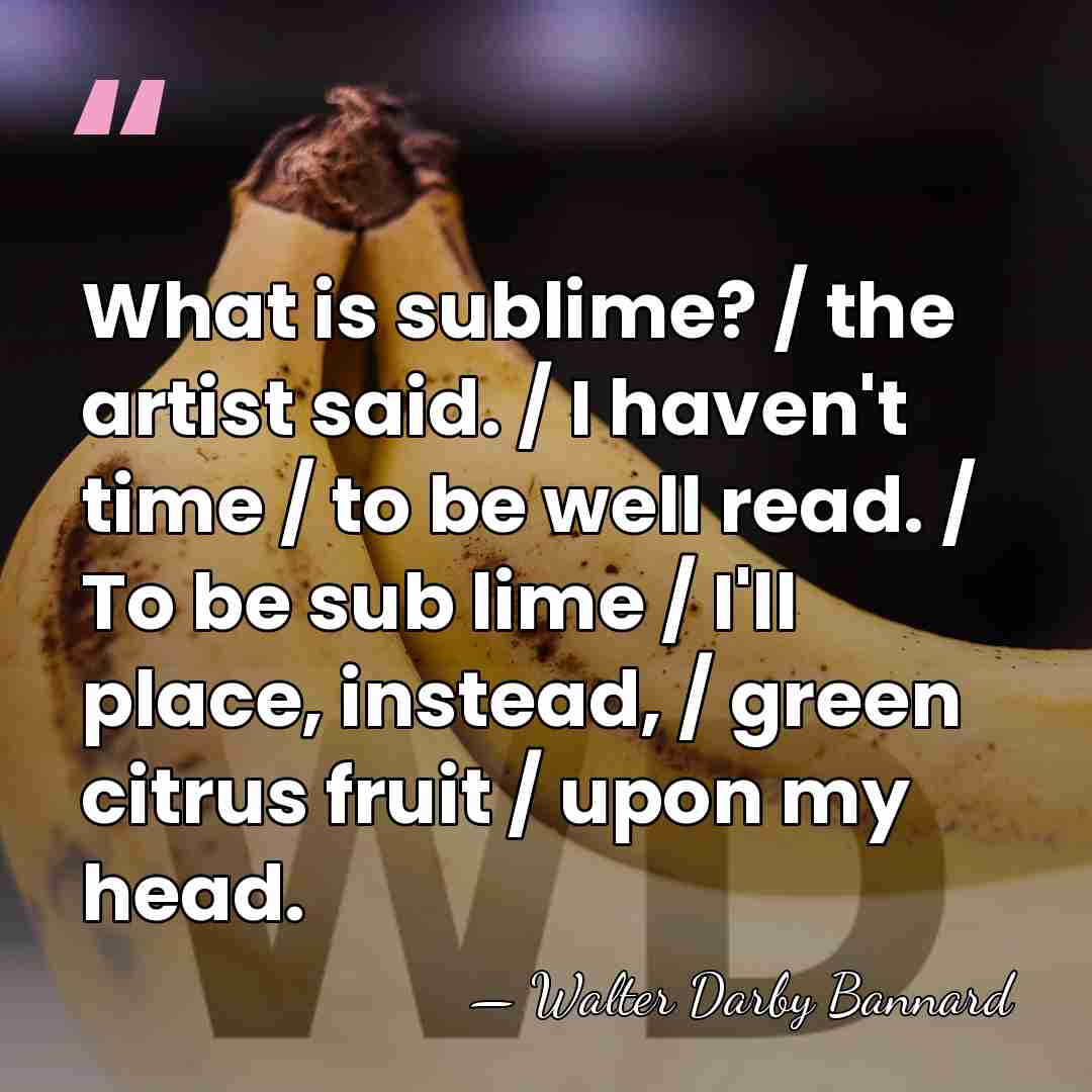 What is sublime? / the artist said. / I haven't time /&hellip; - Walter Darby Bannard