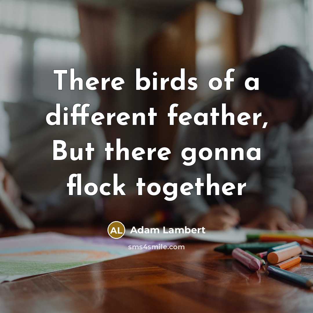 “There birds of a different feather, But there gonna flock…” quote by Adam Lambert