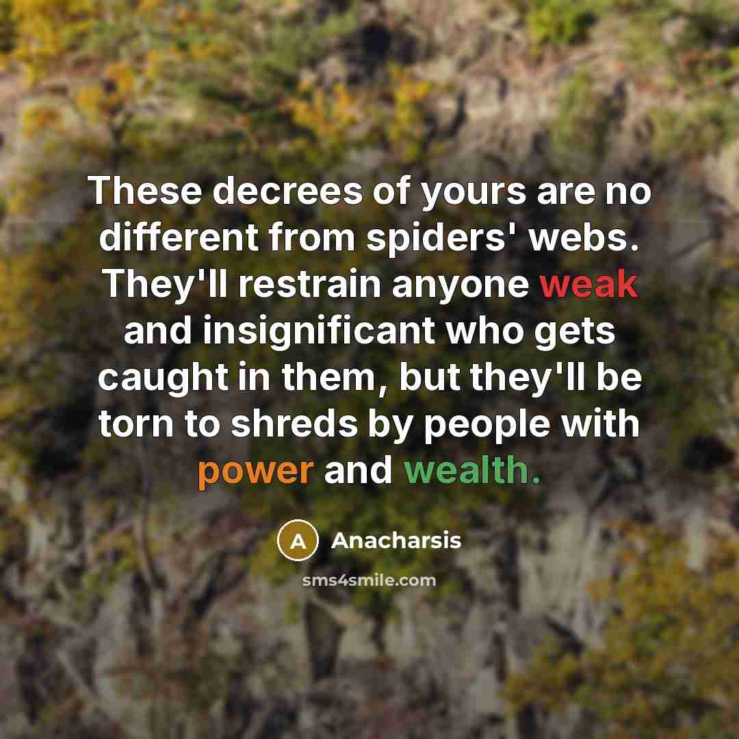 “These decrees of yours are no different from spiders' webs.…” quote by Anacharsis