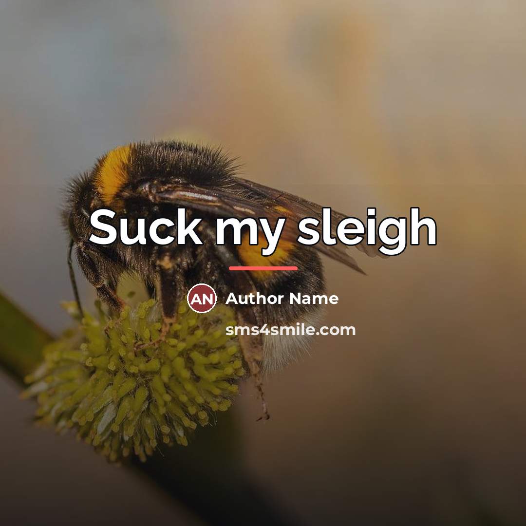 “Suck my sleigh…” quote by Author Name