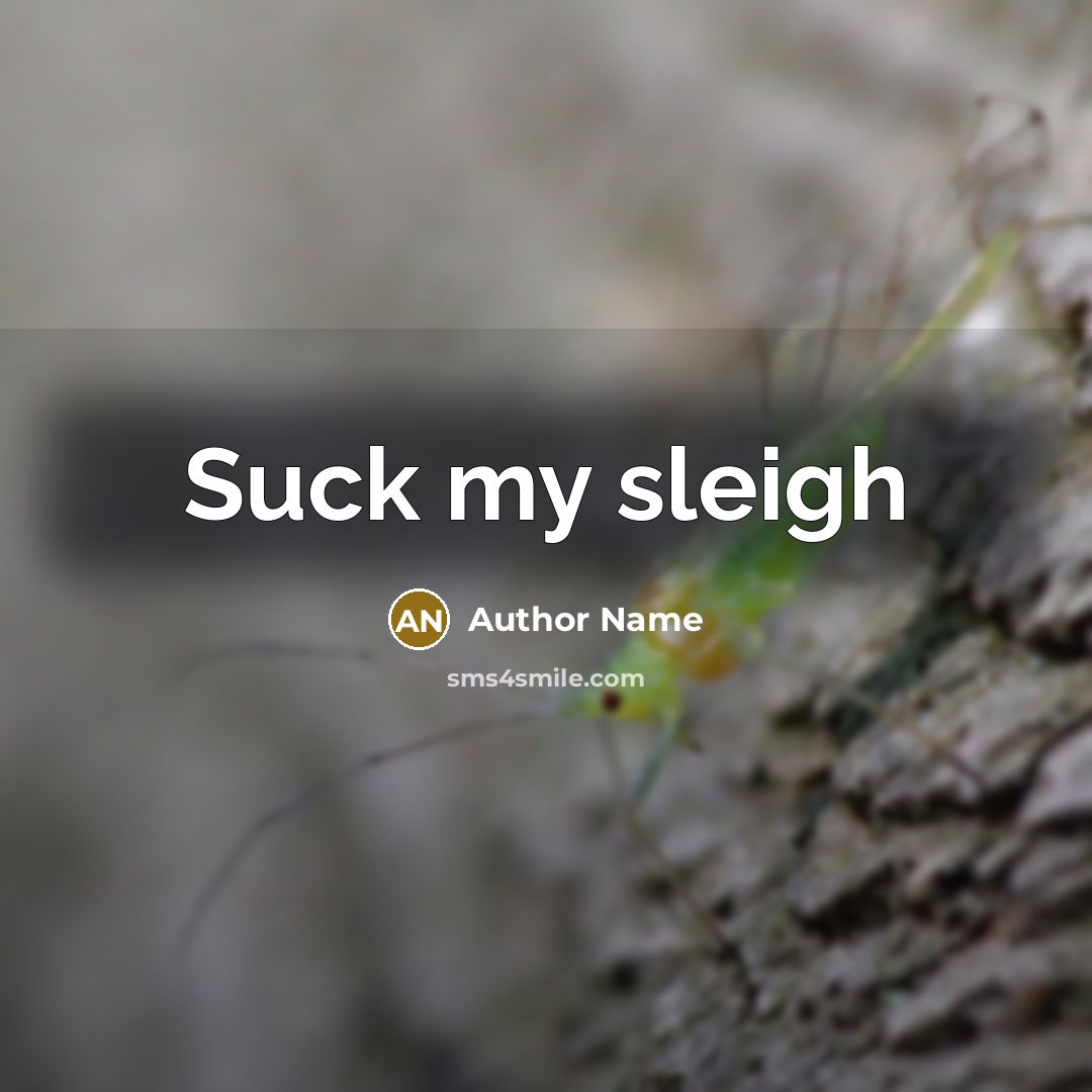 “Suck my sleigh” quote by Author Name