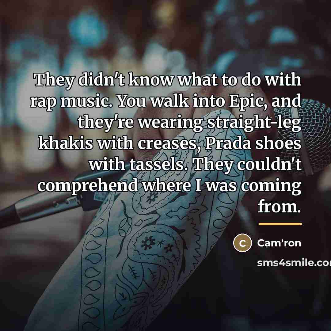 “They didn't know what to do with rap music. You…” quote by Cam'ron