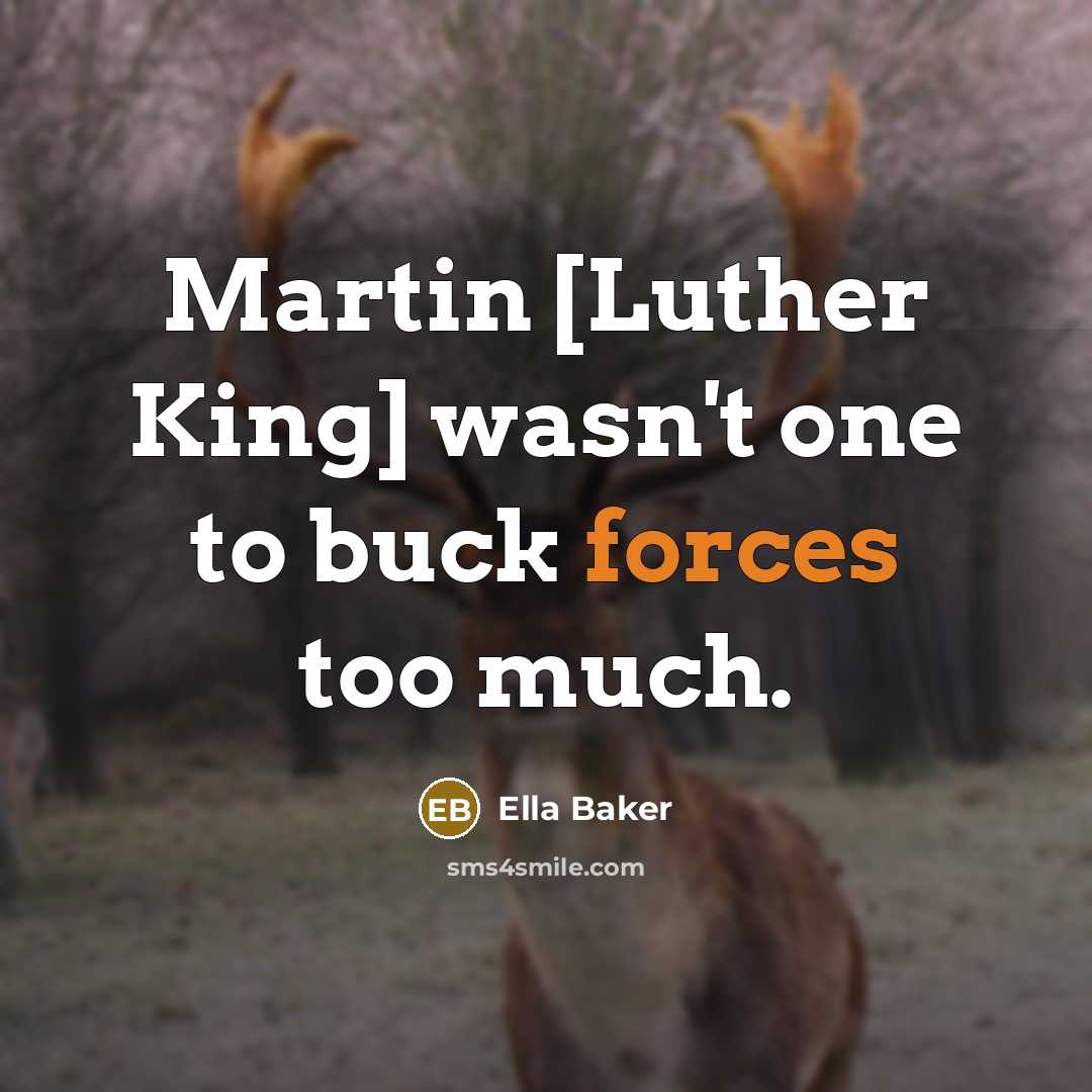 “Martin [Luther King] wasn't one to buck forces too much.…” quote by Ella Baker
