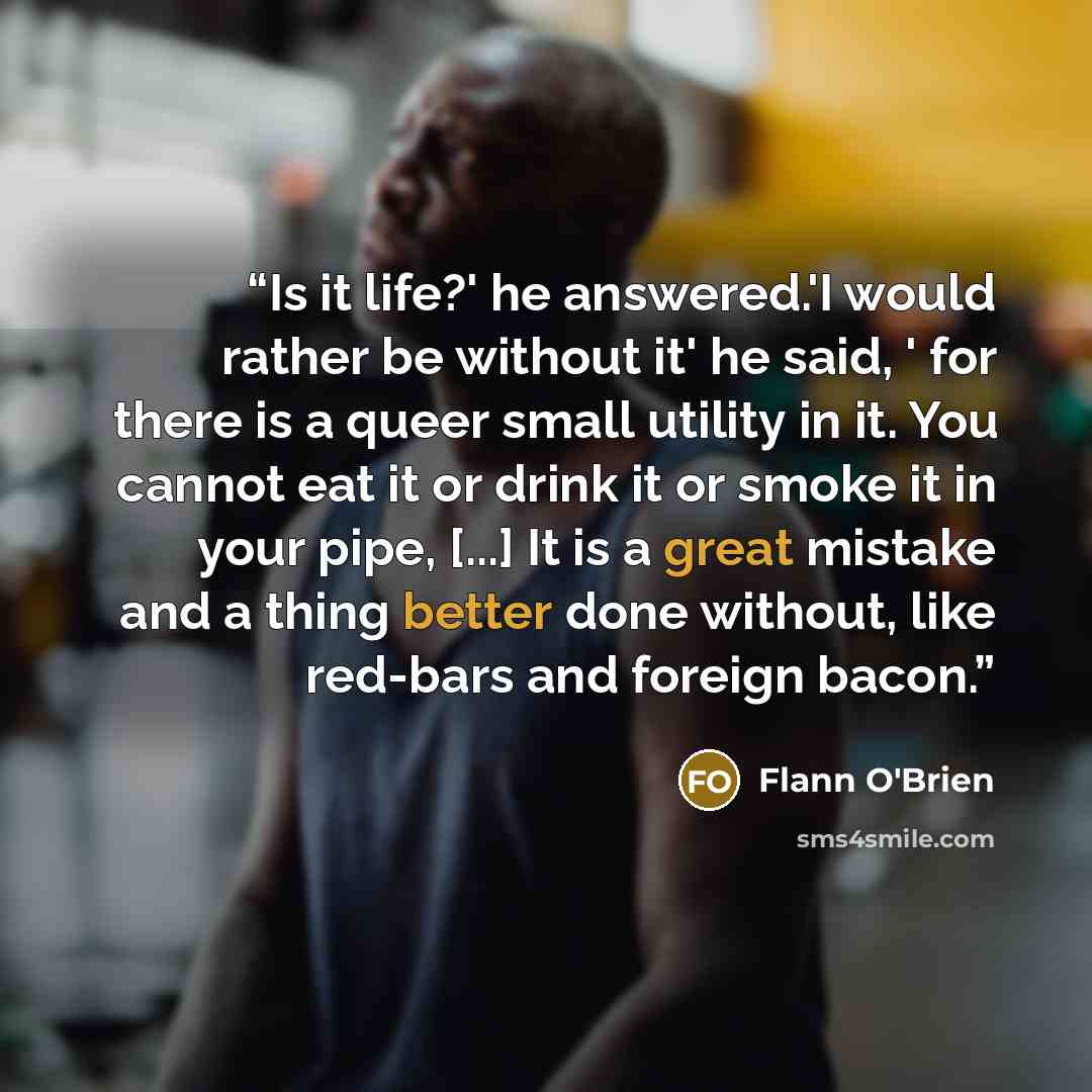 “Is it life?' he answered.'I would rather be without it' he said, ' for there is a queer small utility in it. You cannot eat it or drink it or smoke it in your pipe, [...] It is a great mistake and a thing better done without, like red-bars and foreign bacon.” quote by Flann O'Brien