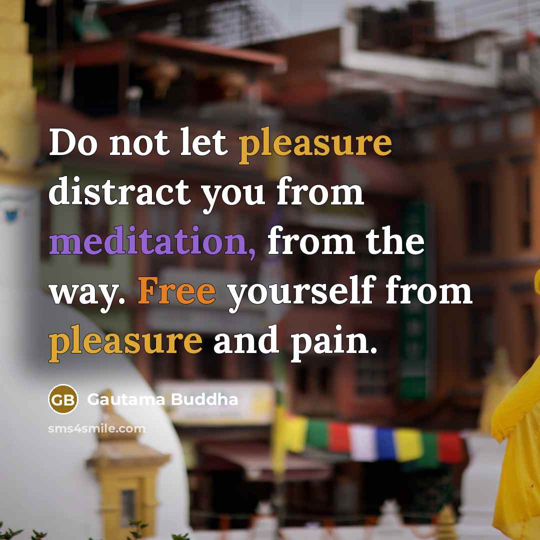 “Do not let pleasure distract you from meditation, from the…” quote by Gautama Buddha