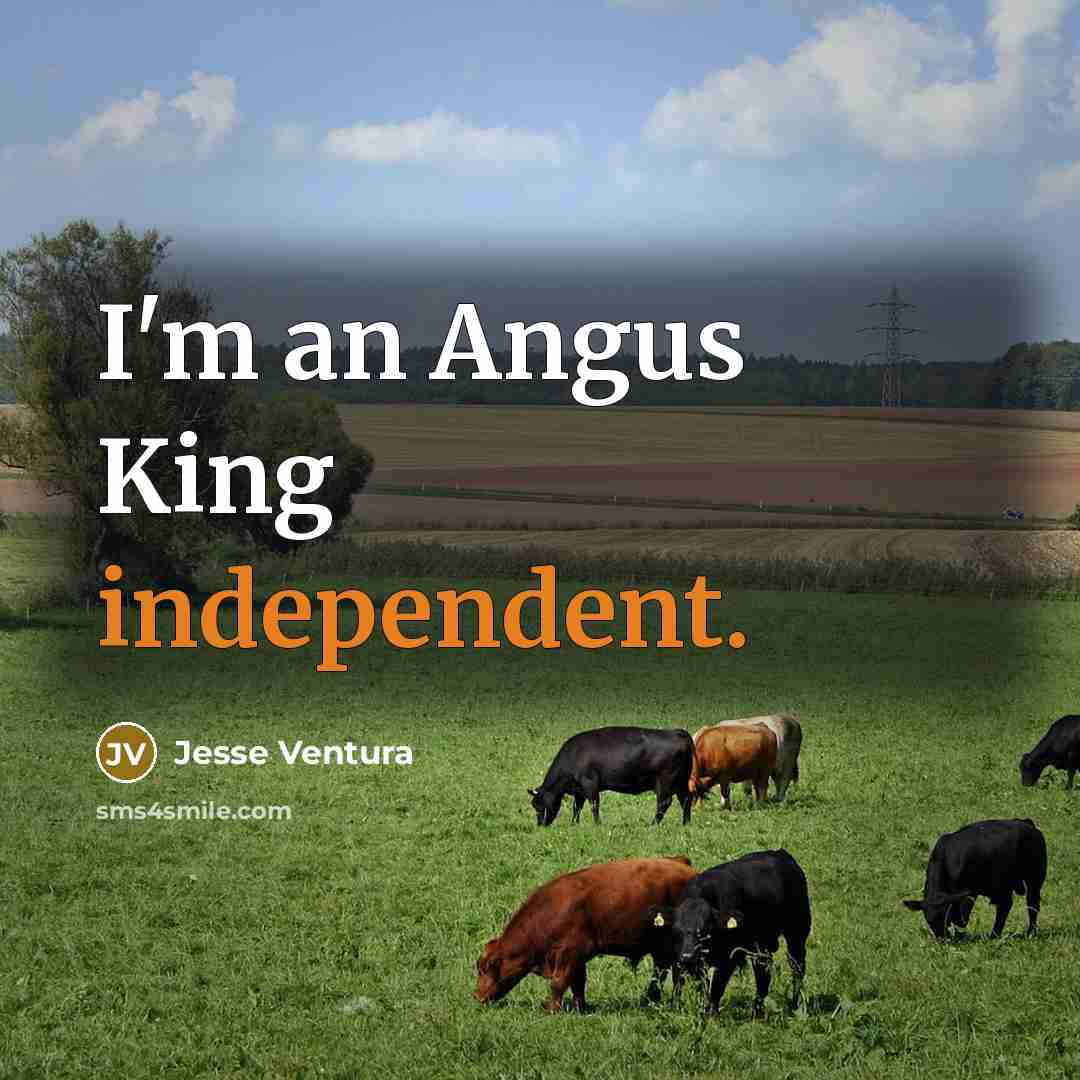 “I'm an Angus King independent.” quote by Jesse Ventura