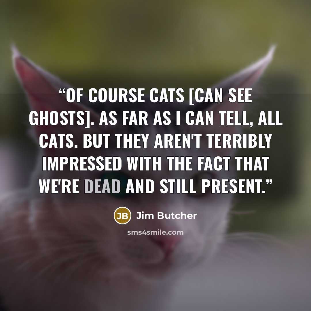 “Of course cats [can see ghosts]. As far as I can tell, all cats. But they aren't terribly impressed with the fact that we're dead and still present.” quote by Jim Butcher