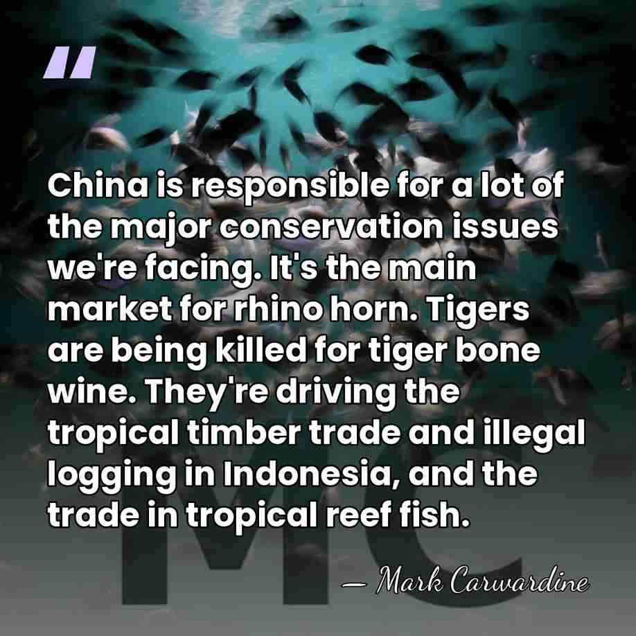 China is responsible for a lot of the major conservation issues we're&hellip; - Mark Carwardine