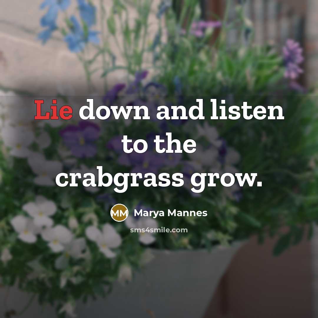 “Lie down and listen to the crabgrass grow.…” quote by Marya Mannes