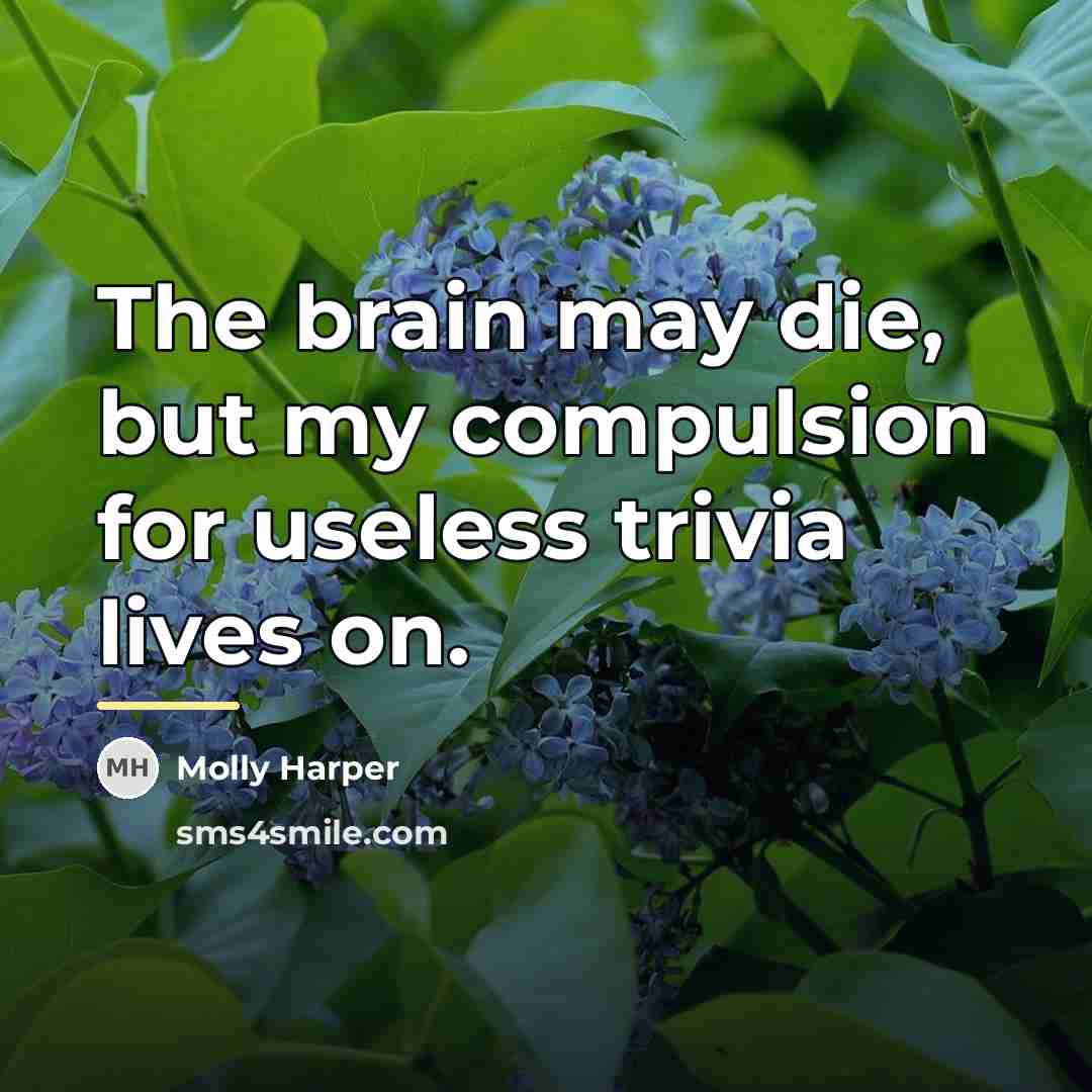 “The brain may die, but my compulsion for useless trivia…” quote by Molly Harper