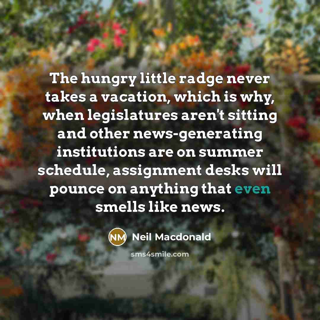 “The hungry little radge never takes a vacation, which is…” quote by Neil Macdonald